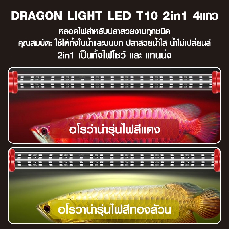 หลอดไฟตู้ปลา DRAGON LIGHT LED T10 2in1 สีทอง/แดง 4แถวหลอดไฟสำหรับปลาสวยงามทุกชนิด น้ำไม่เปลี่ยนส - รูปที่ 4