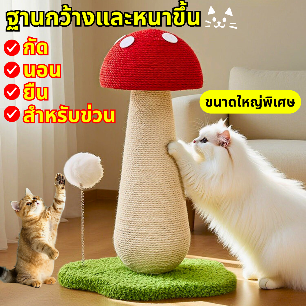 🍄ที่ลับเล็บแมว😻สไตล์ใหม่ 4 in 1 แร็คปีนแมว ที่ลับเล็บแมว กระดานลับเล็บแมว  คอนโดแมว รูปร่างเห็ด เสาลับเล็บ ของเล่นแมว