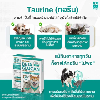 BETAPET Beta-Glucan อาหารเสริมสุนัขและแมว เสริมภูมิคุ้มกัน สูตรใหม่ Lysine + Taurine งานวิจัย สวทช. แถมฟรีไซริงค์1อัน