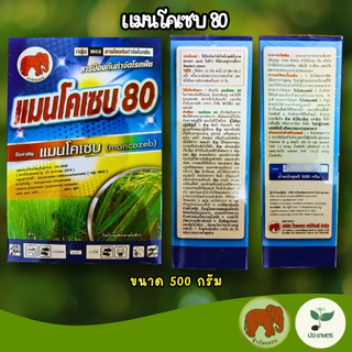 แมนโคเซบ 80 (100กรัม/500กรัม/1กิโลกรัม) ยาเชื้อราสร้างเกราะป้องกันโรคพืช ป้องกันโรคแอนแทรคโนส ใบจุด ราดำ ราสนิม