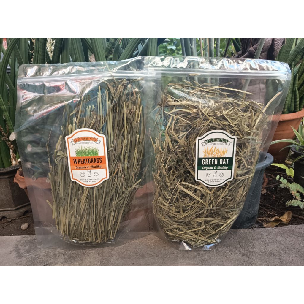 มายล Wheat Grass 100ก. และ Green Oat 100ก.