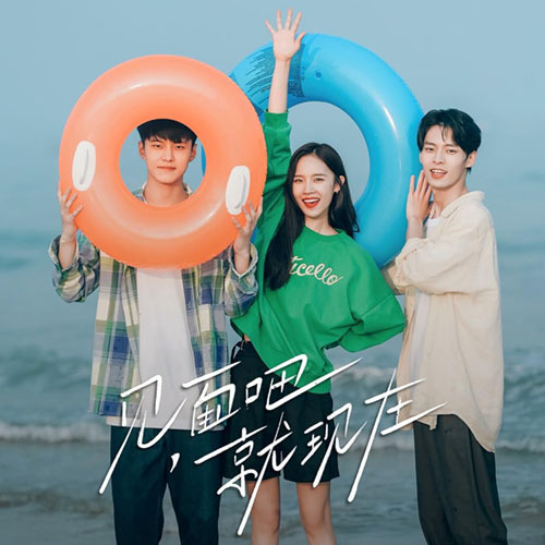 ซีรี่ย์จีน Let's Meet Now เจอกันนะ เจ้าความรัก (2022) (2ภาษา) DVD 3 แผ่น