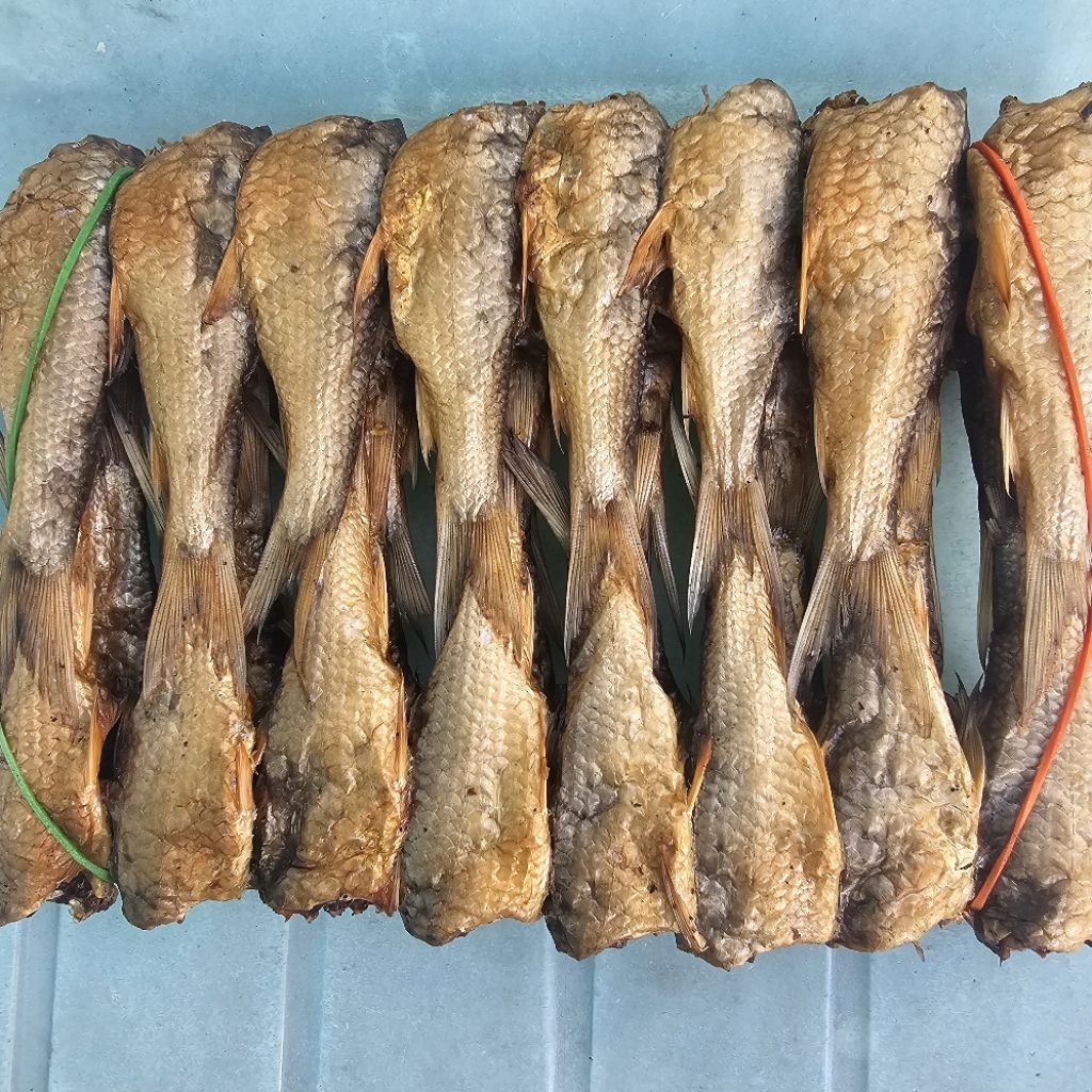 ปลาสร้อย ย่างรมควัน ไม้ละ30บาท ปลาจากแม่น้ำป่าสัก ใหม่ๆ (ไชด์ 50กรัม/ไม้)
