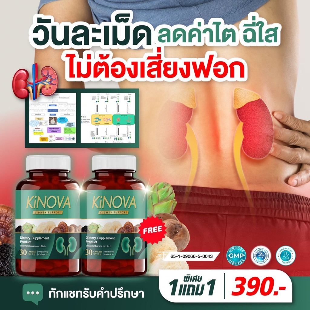 KINOVA 1 แถม 1 กระปุกของแท้ รวม 60 แคปซูลวิตามินบำรุงไต!