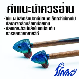 ไม้ล่อปลากัด รูปแบบหัวปลาเหมือนจริง ขนาด 25 cm ช่วยให้ปลากัดออกฟอร์มชัดเจน สำหรับการตกปลา