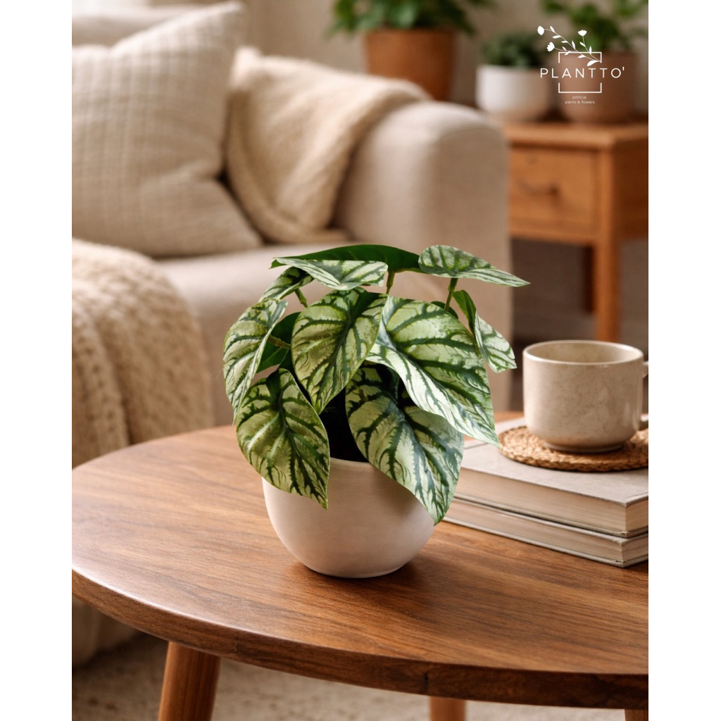 ต้นไม้ปลอม Alocasia Silver กระถางดินเผากว้าง 11 cm สูงรวม 20 cm - รูปที่ 4