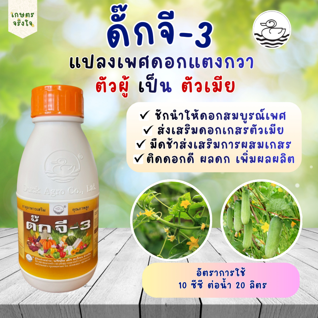 อาหารเสริมพืช ดั๊ก จี-3 250/500ซีซี ตราเป็ด แปลงเพศดอกแตงกวาจากตัวผู้เป็นตัวเมีย ทำให้ติดผลดกมากขึ้น