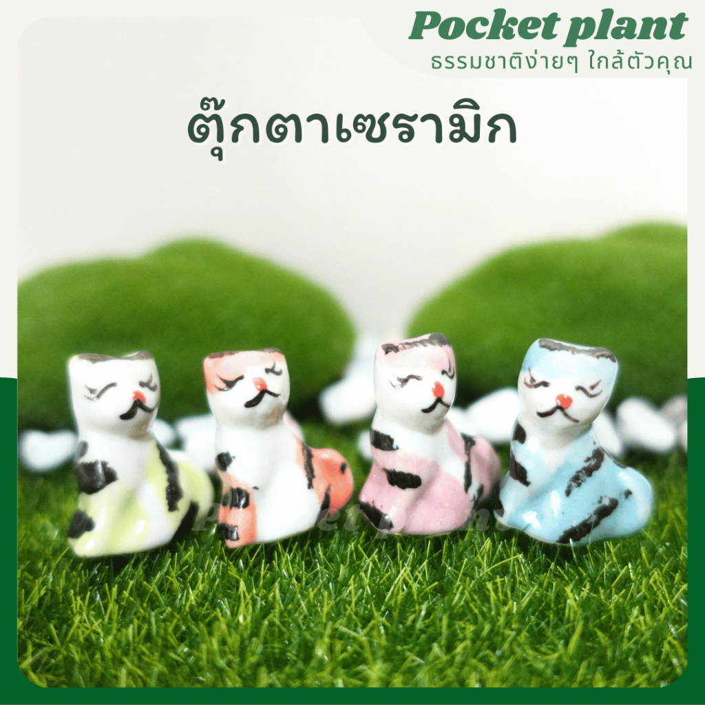 มุมมอง 2