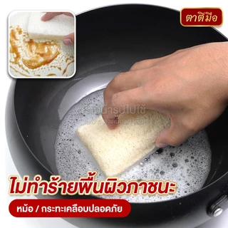 ตาตีมือ ใยบวบล้างจาน 2 หน้า ล้างกระทะ ใยบวบธรรมชาติไม่อัดแบน อ่อนโยนต่อภาชนะ