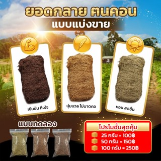 แบบ50กรัม/100กรัม ยอดกลาย ฅนคอน ปังปังของแท้ กำจัดศัตรูพืชได…