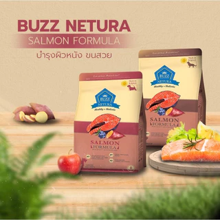 Buzz Netura บัซซ์ อาหารสุนัข ขนาด 2.5 kg เกรดโฮลิสติก เกรนฟรี สำหรับสุนัขโตทุกสายพันธุ์