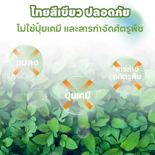 PETLUSCI หญ้ากระต่าย หญ้าอัลฟาฟ่า 1KG พรีเมี่ยม ใบล้วน อบลมร้อน ไม่สับ ไร้ฝุ่น กระรอก สำหรับ กระต่าย