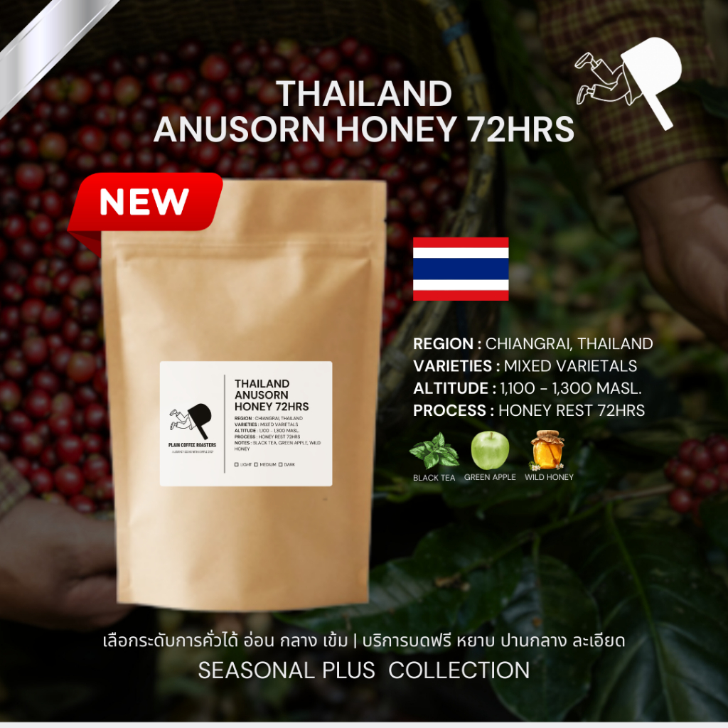 [เลือกระคั่วได้/บดฟรี] THAILAND - Anusorn Honey 72hrs เมล็ดกาแฟ อาราบิก้า 100%