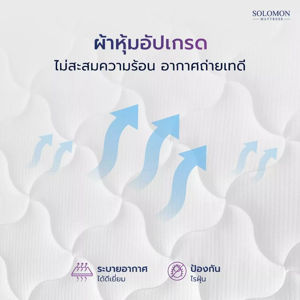 Solomon ที่นอนสปริง รุ่น Pyla Plus หนา 9 นิ้ว thumbnail 5