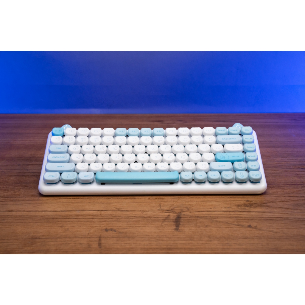IQUNIX Kitty Keyboard Mechanical คีย์บอร์ดลายแมว (สินค้ามือสอง สภาพดี ใช้งานปกติ)