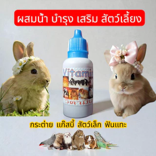 50 cc วิตามินสำหรับสัตว์เล็ก สำหรับสัตว์เล็กและสัตว์ฟันแทะ ส่งด่วนทุกวันจร้า
