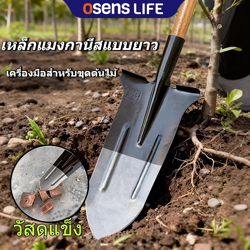เสียมขุดดิน พลั่วขุดดิน พลั่วโค้งหนา พลั่วแมงกานีส การออกแบบเหยียบ วัสดุหนา เครื่องมือการเกษตร
