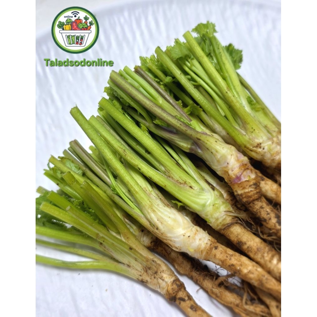 รากผักชี สด สะอาด รับประกันคุณภาพ - รูปที่ 3