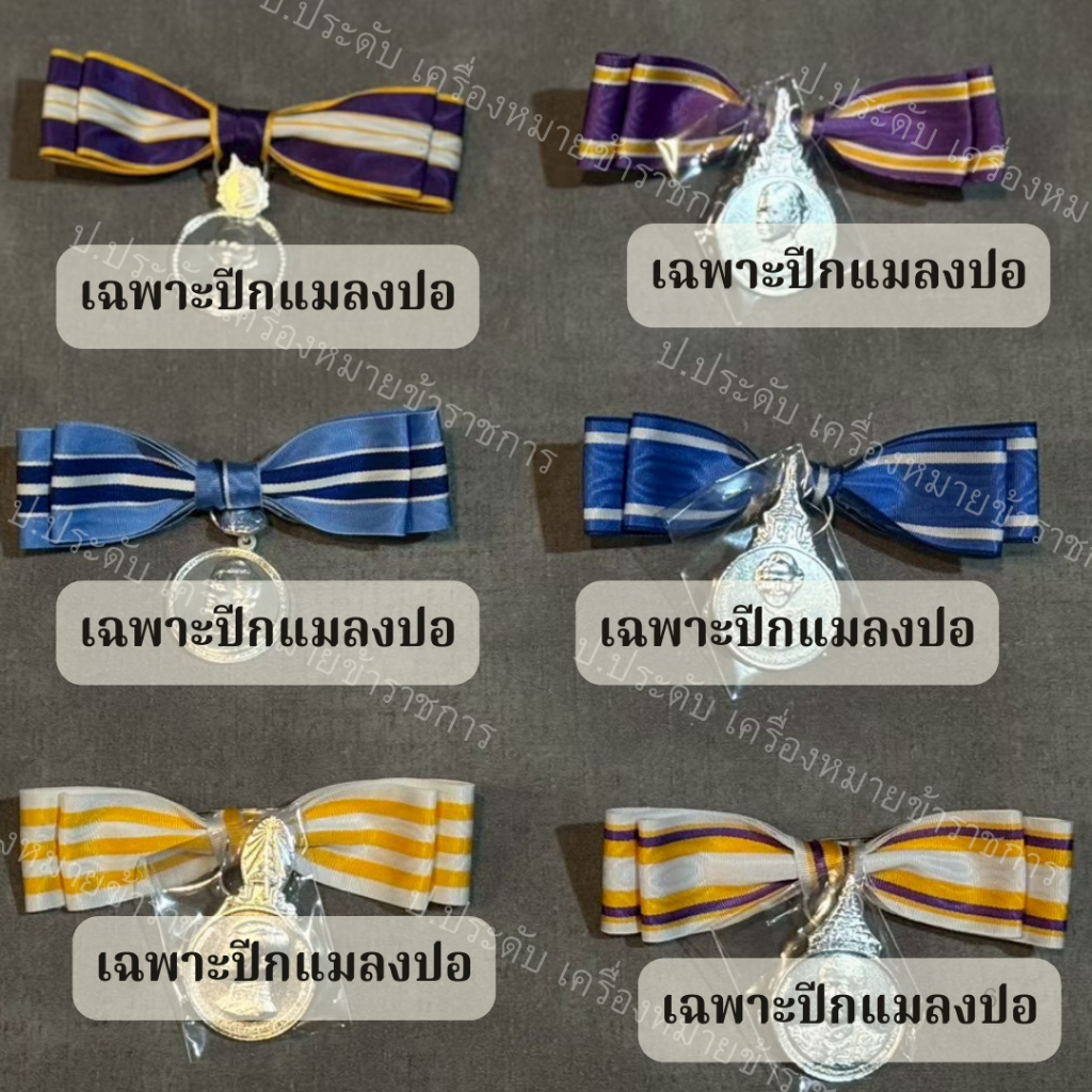 (ไม่รวมเหรียญ) ปีกแมงปอ เหรียญที่ระลึก สตรี เฉพาะปีกแมลงปอ ปีกเหรียญที่ระลึก