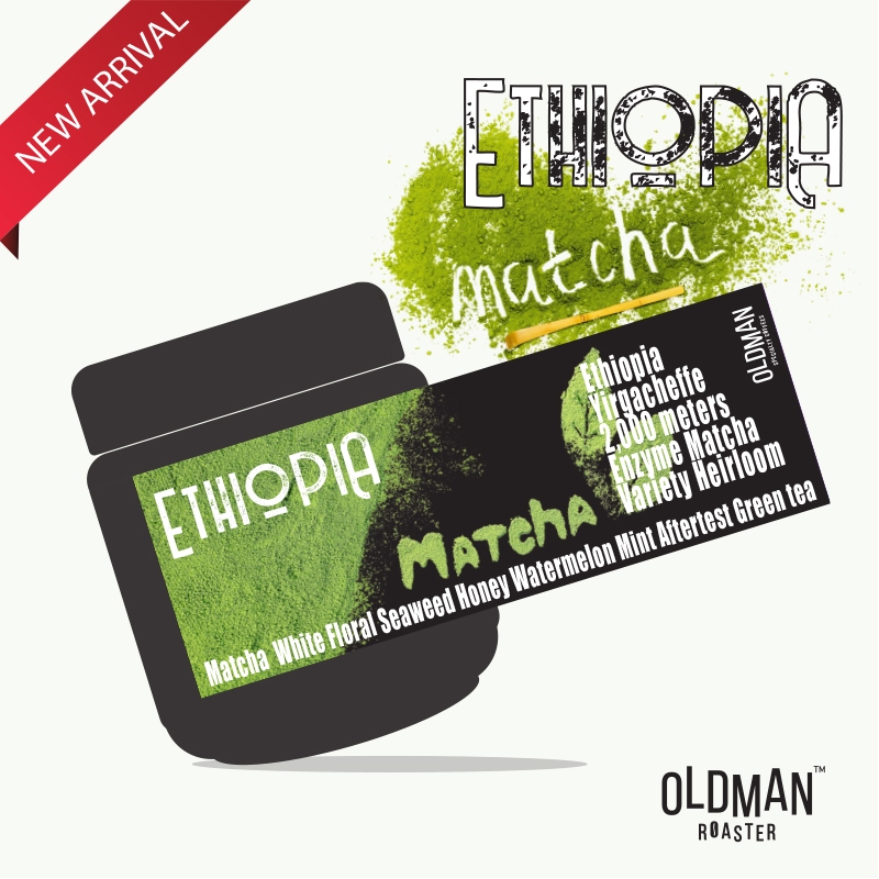 เมล็ดกาแฟ " มัทฉะ ตะโกน " ETHIOPIA YIRGACHEFFE ENZYME MATCHA (คั่วอ่อน) LIGHT ROAST by OLDMAN ROASTER