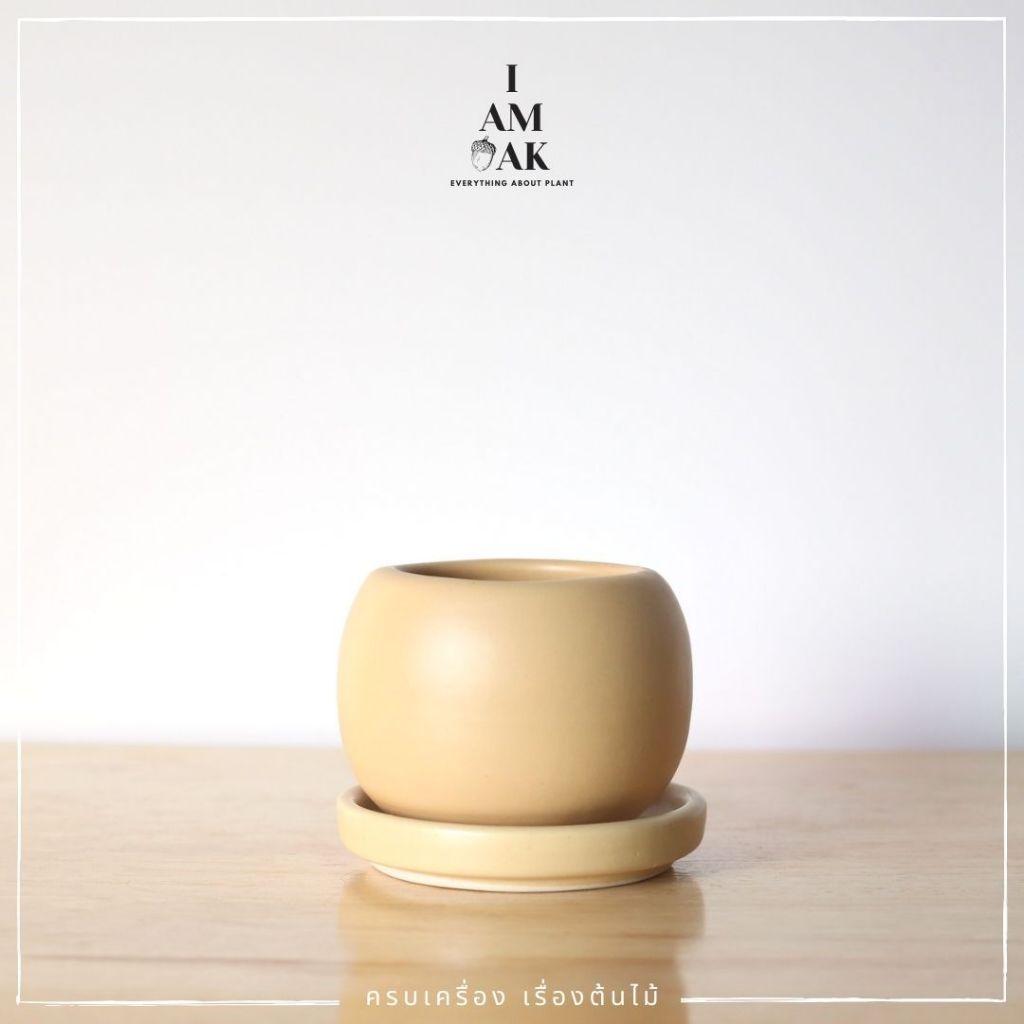 Minimalist Round Ceramic Pot with Narrow Opening [BY GS] - View 3