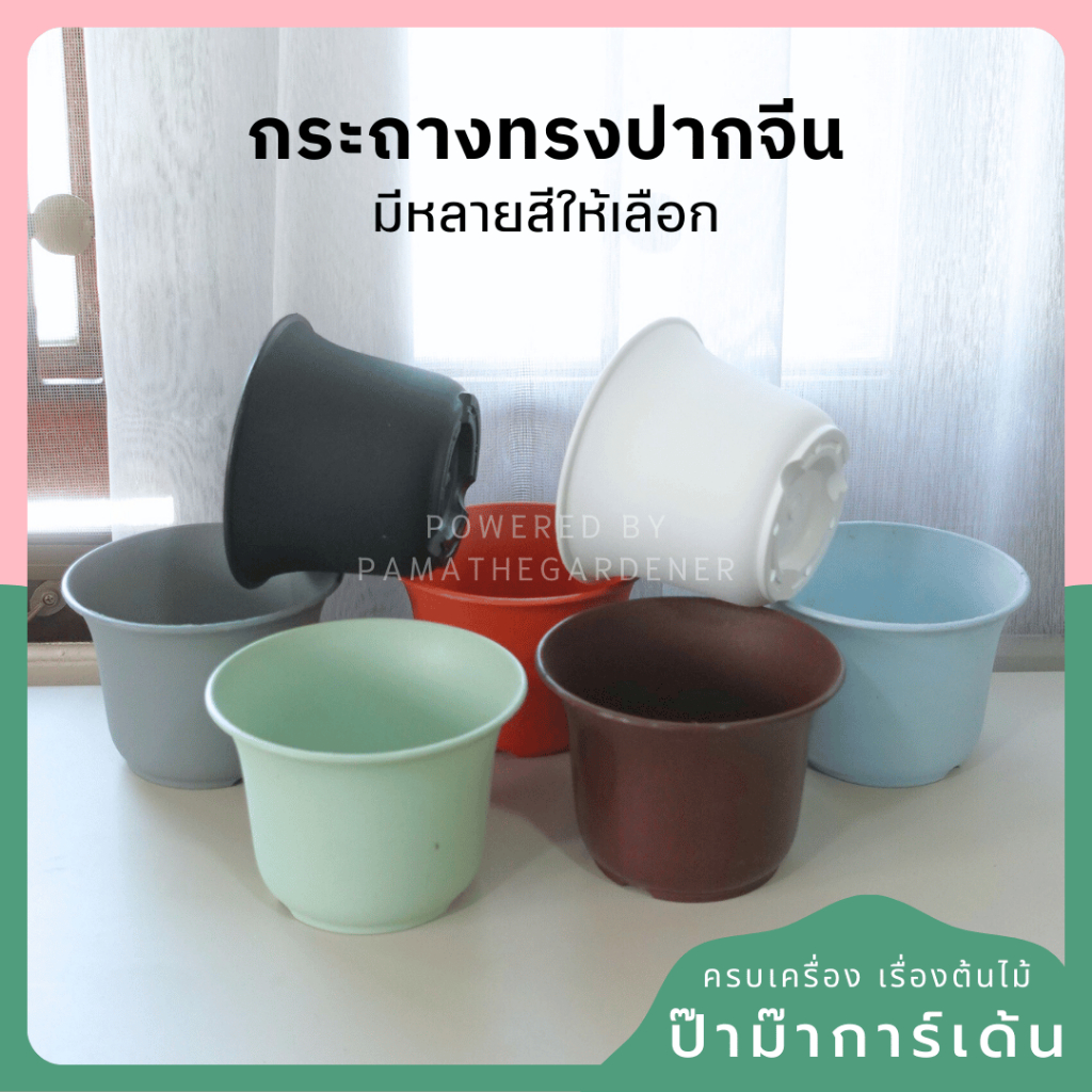 กระถางทรงปากจีนขนาด 5 นิ้ว