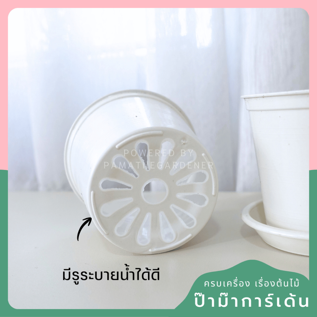 3-inch White Plastic Pot with Matching Saucer - View 2