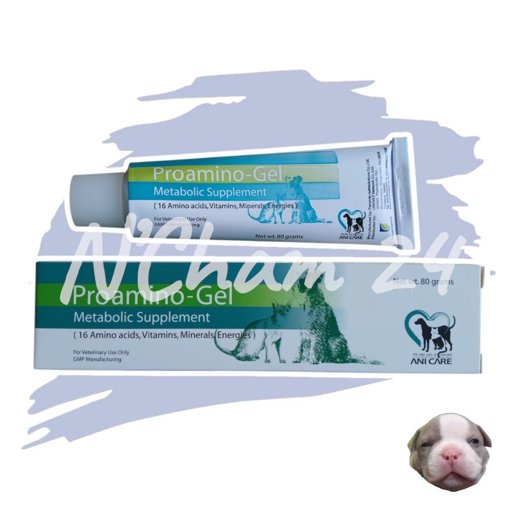 Proamino Gel หมดอายุ08/2026 วิตามินเจลอาหารเสริมร่างกายและภูมิคุ้มกัน ขนาด 80g