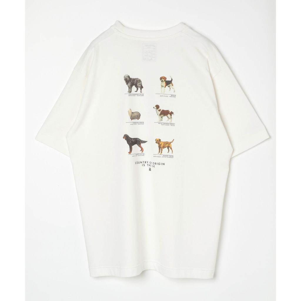 GLOBAL WORK เสื้อยืด กราฟิกเอ็กซ์คลูซีฟ Graphic T-shirt 2 (Short Sleeve) ราคา ถูกที่สุด ดีลบีเคเค แกลเลอรีภาพที่ 2