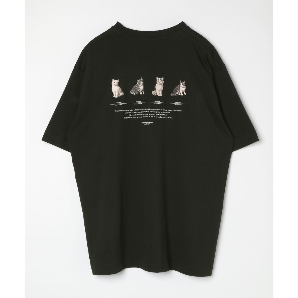 GLOBAL WORK เสื้อยืด กราฟิกเอ็กซ์คลูซีฟ Graphic T-shirt 2 (Short Sleeve) ราคา ถูกที่สุด ดีลบีเคเค แกลเลอรีภาพที่ 7
