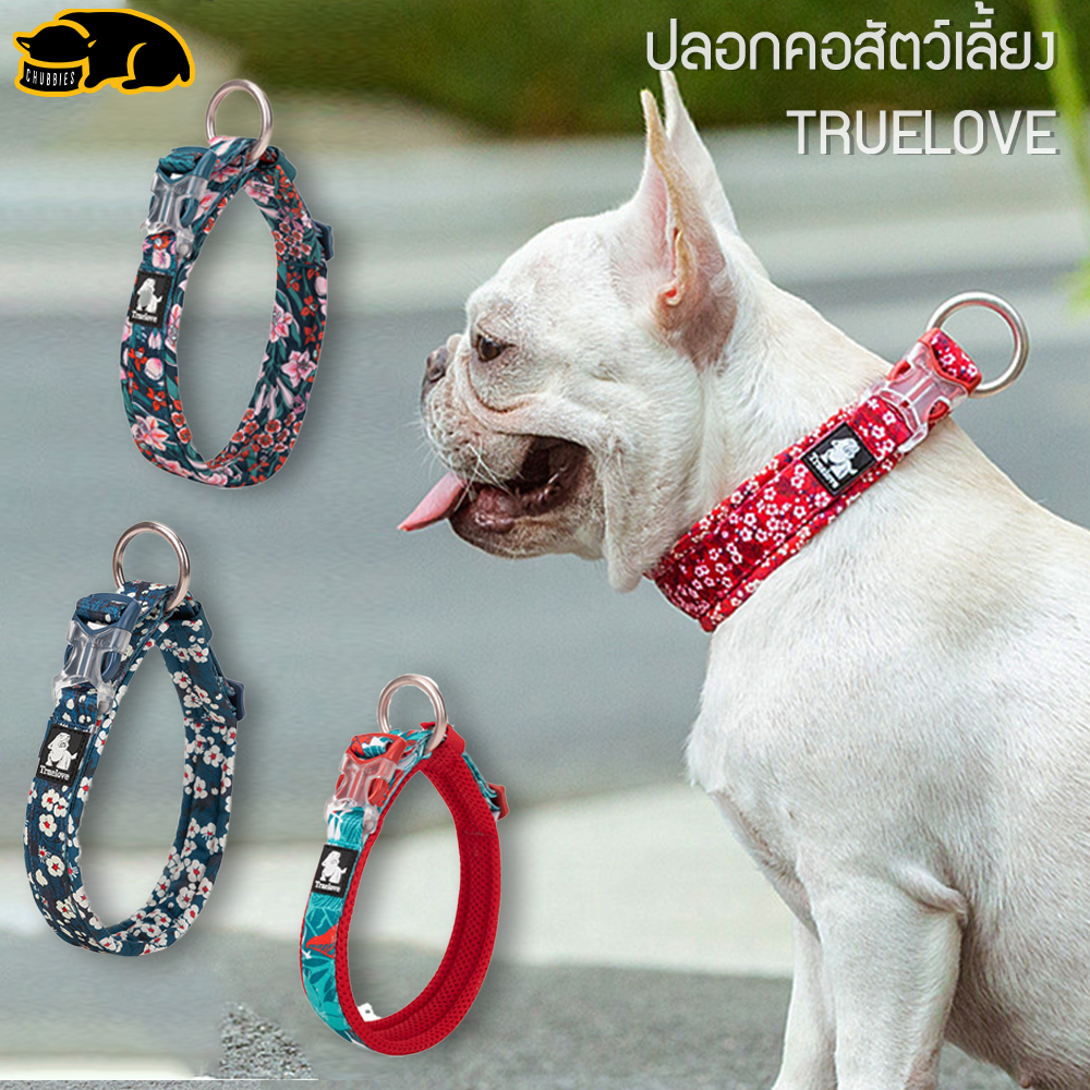 ⚡ลดล้างสต๊อก SALE⚡C153 TRUELOVE TH ปลอกคอสัตว์เลี้ยง ลายFloral สไตล์Hawaii ฮาวาย สุนัข แมว ทน เบา สบาย สวย ระบายอากาศ