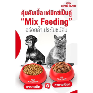 [ลดแล้ว][1โหล]Royal Canin Instinctive อาหารเปียก รอยัลคานิน เพาซ์ สำหรับแมวทั่วไป 85g*12ซอง