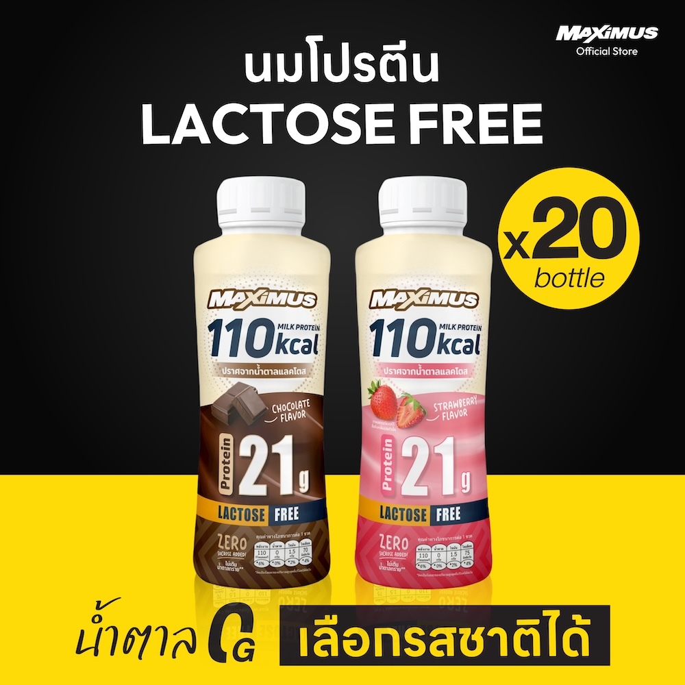 Maximus High Protein, Low kcal, 0 sugar added, Lactose Free (x20)