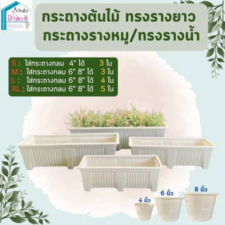 กระถางรางยาว กระถางรางหมู สีขาว และสีดำ เนื้อหนา แข็งแรง มี 4 ขนาด เล็ก กลาง ใหญ่ จัมโบ้