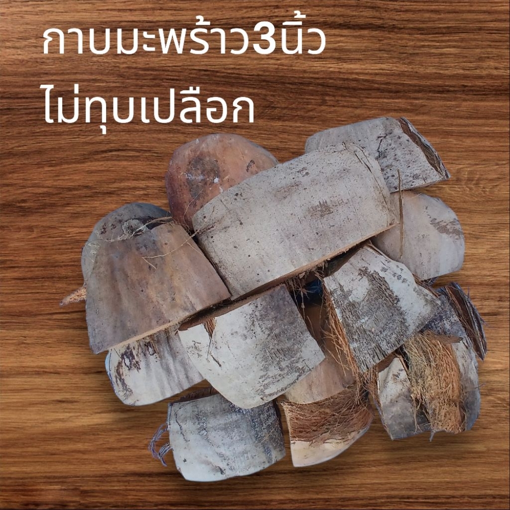 กาบมะพร้าว 3 นิ้วไม่ทุบเปลือก