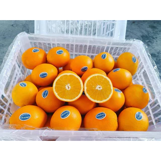 พร้อมส่ง‼️ส้มนาเวล ส้มซันคิสต์ ส้มซันควิก Navel Sunkist