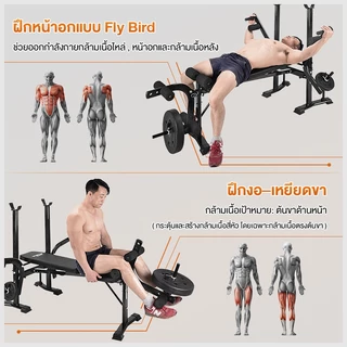 ADIMAN ล่าสุด มัลติฟังก์ชั่น ม้านั่งปรับระดับ ม้านั่งบาร์เบล ม้านั่งยกน้ำหนัก เก้าอี้ดัมเบล อุปกรณ์ออกกำลังกาย