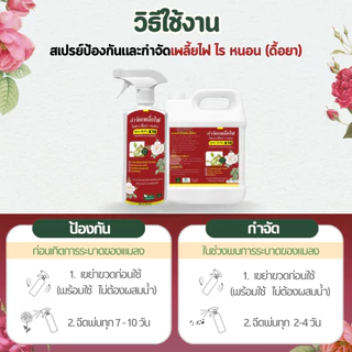 Rosy เซ็ทคู่รีฟิล 1000 ML [เพลี้ยไฟดื้อยๅฉลากแดง + บำรุงกุหลาบ แถมฟรีสารปรับปรุงดิน] ฟื้นฟูเร่งด่วน ไม่กลับมาระบาดซ้ำ