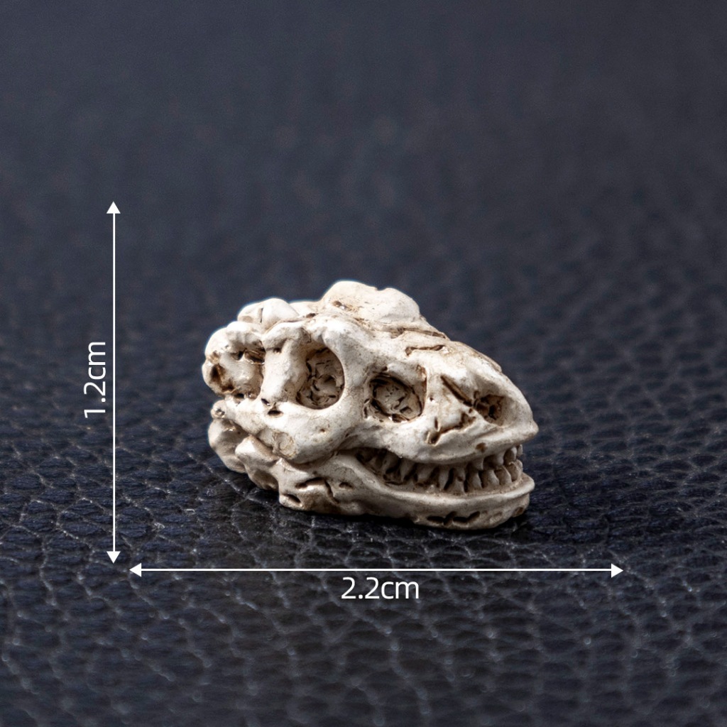 j586หัวกะโหลกสัตว์จำลองเรซิ่นจิ๋วแพ็คละ 5 ่ชิ้น - รูปที่ 4