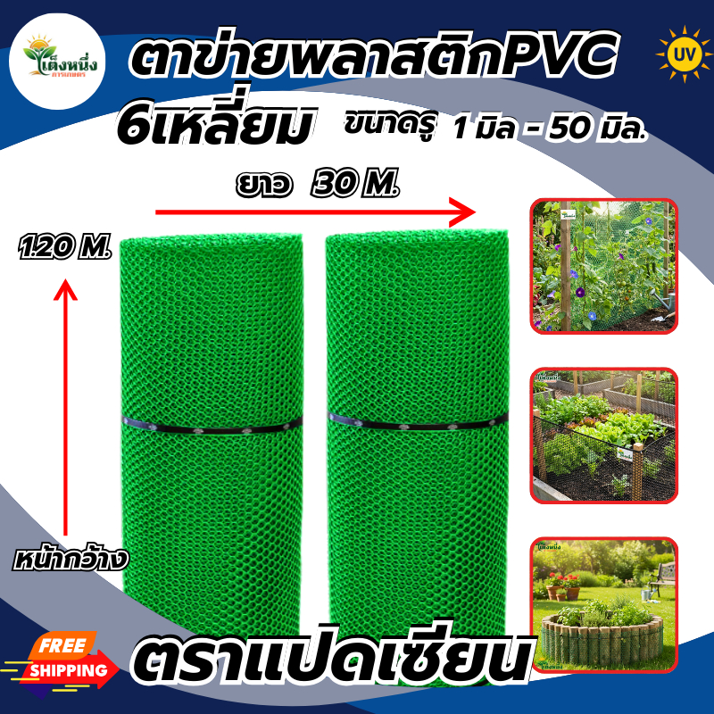 ตราแปดเซียน ตาข่ายพลาสติก ตาข่ายหกเหลี่ยม สีเขียว กว้าง 1.20ม.x ยาว 30ม. ขนาดรู 2มม.-14มม.ขายยกม้วน – โปรปัง