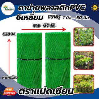 ตราแปดเซียน ตาข่ายพลาสติก ตาข่ายหกเหลี่ยม สีเขียว กว้าง 1.20…