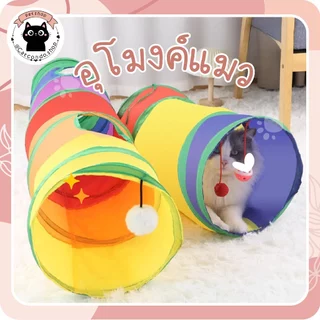 🌵 อุโมงค์ลูกตุ้ม ของเล่นแมว อุโมงค์แมว อุโมงค์สัตว์เลี้ยง พับได้ ของเล่นสัตว์เลี้ยง ของเล่นสัตว์เลี้ยง อุโมงแมว 🌵