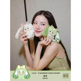 lilla Rainbow candy bunny 1box12จุ่ม พร้อมส่งในไทย (ยกbox)