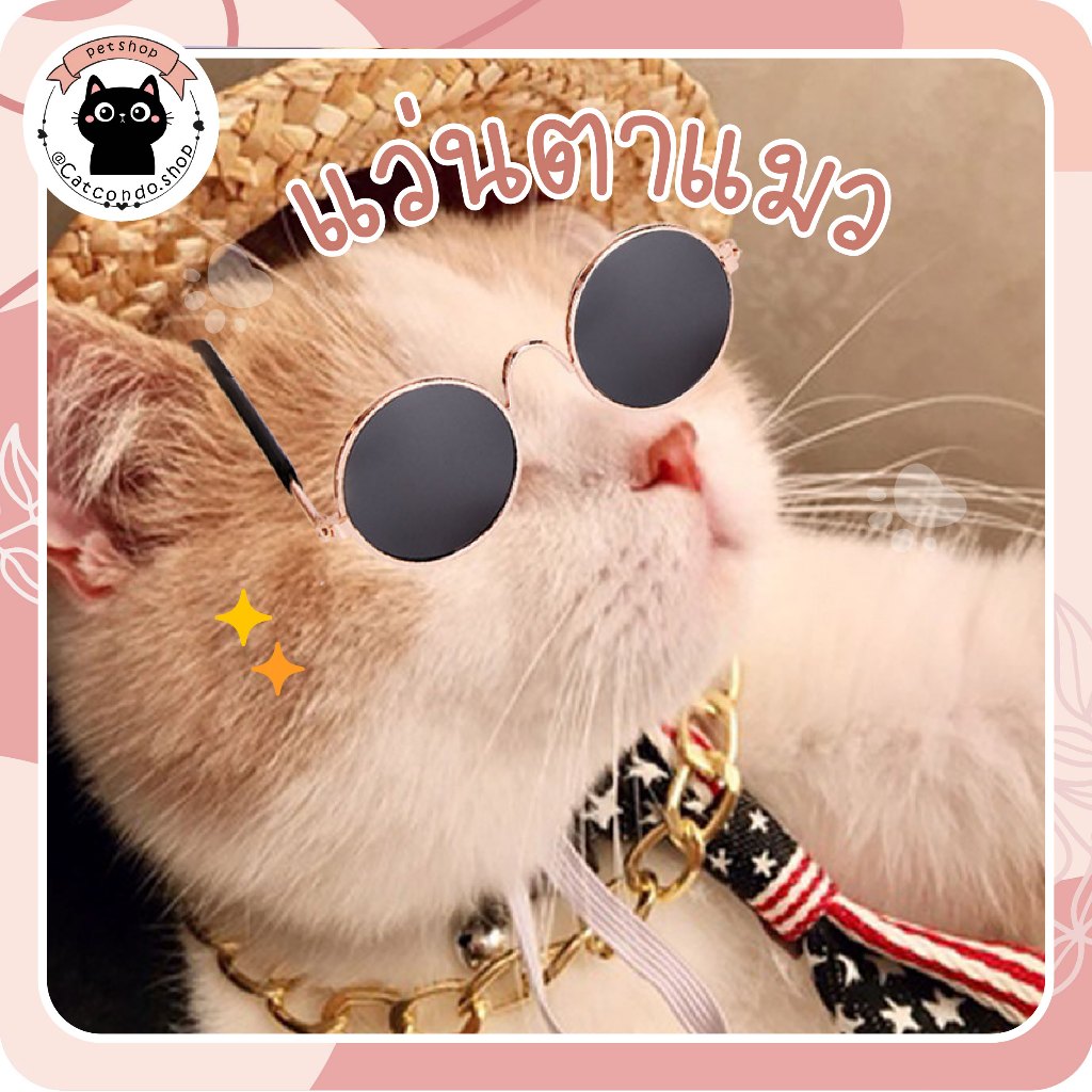🌵 แว่น แว่นแมว สําหรับสัตว์เลี้ยง สุนัข แมว แว่นตากันแดด ทรงกลม สะท้อนแสง น่ารัก พร็อพถ่ายรูป 🌵