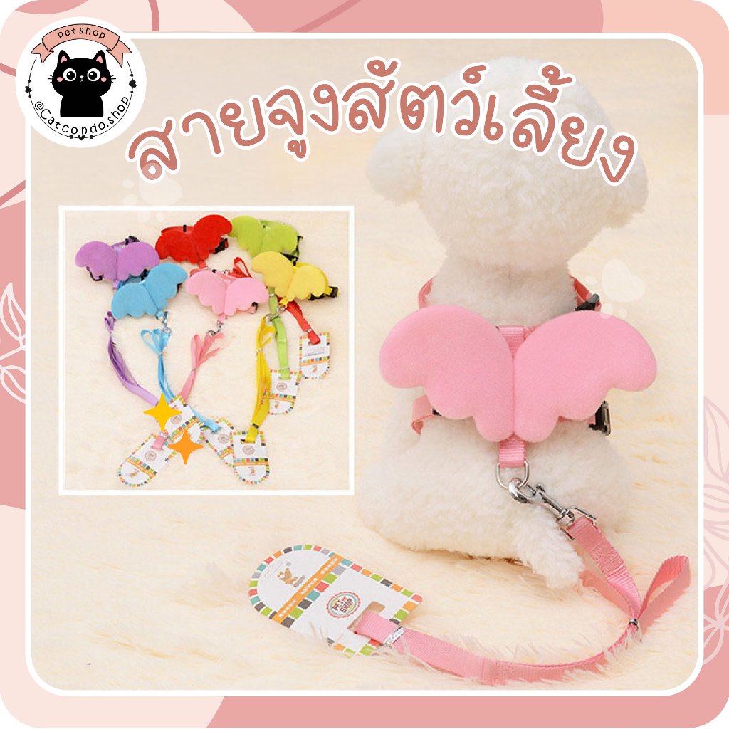 🌵 ปีกนางฟ้า สายจูงสัตว์เลี้ยง สายจูงแมว สายจูงสุนัข ฟรีไซส์ 1-4กก. สำหรับแมวเด็ก 🌵