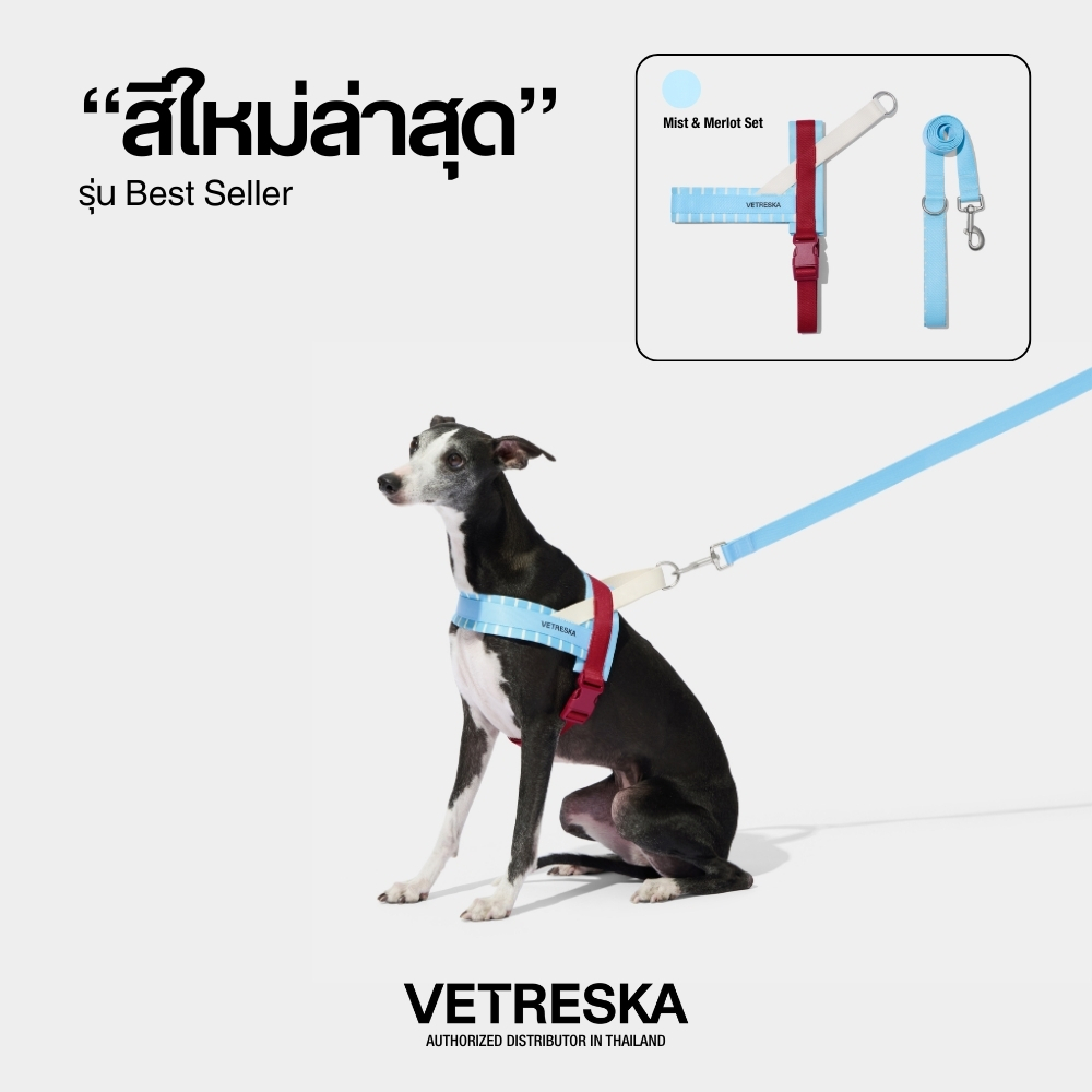 VETRESKA สายรัดอกและสายจูงสุนัข  MIST AND MERLOT PET HARNESS & LEASH SET