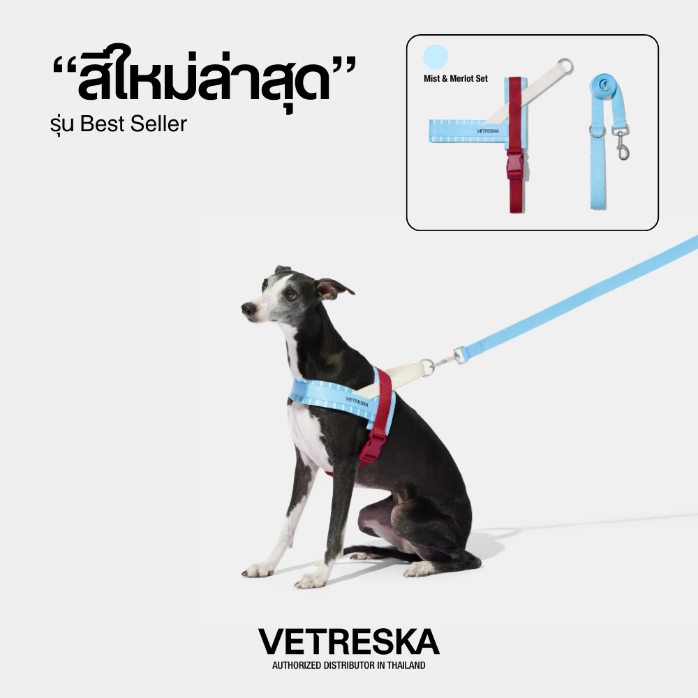VETRESKA สายรัดอกและสายจูงสุนัข MIST AND MERLOT PET HARNESS & LEASH SET