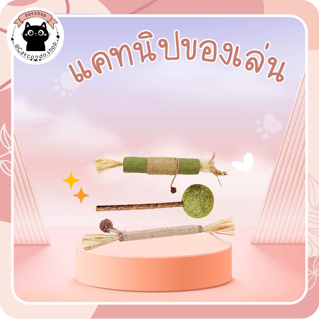 ของเล่นแมวกัดเล่นจากไม้ matatabi และ catnip แมว ที่กัดเล่น ช่วยขัดฟันแมว