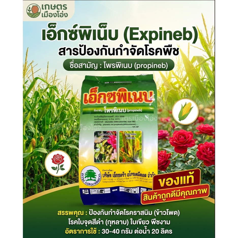 เอ็กซพิเนบ (โพรพิเนบ 70% WP) 1กก.ป้องกันกำจัดโรคพืชชนิดสัมผัสสามารถป้องกันกำจัดโรคพืชได้อย่างกว้างขวาง เช่น โรคใบจุดสีดำ