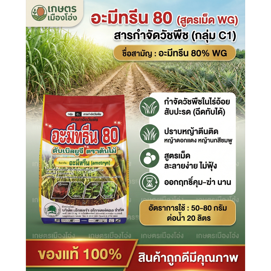 อะมีทรีน 80 ดับเบิลยูจี 1กก เอ็กซตร้า เป็นสารกำจัดวัชพืชในไร่อ้อยและสัปปะรด กำจัดวัชพืชได้ทั้งก่อน และ ภายหลังงอก